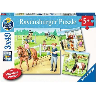 Spiel 4058.0